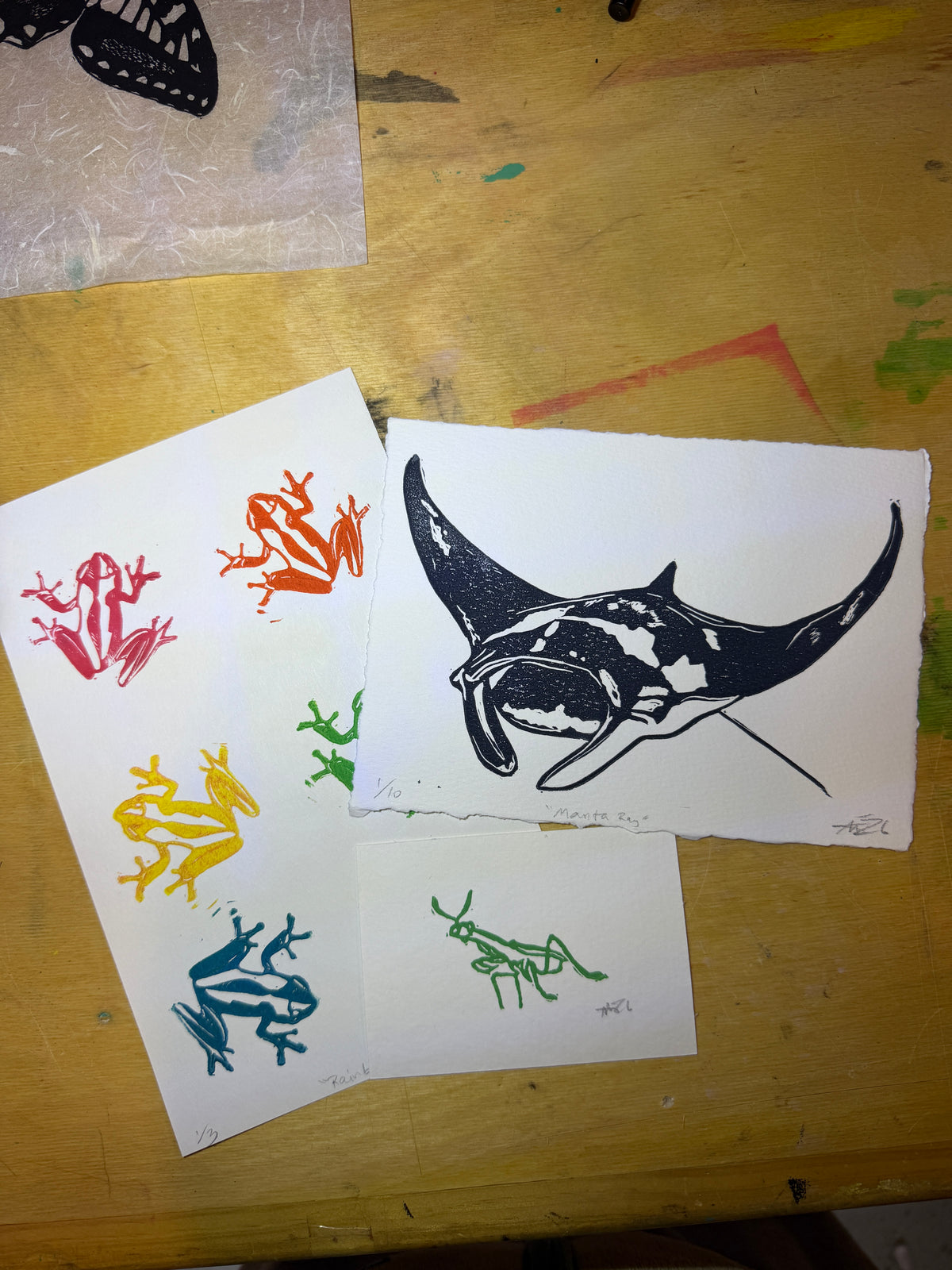 Various land and sea critters