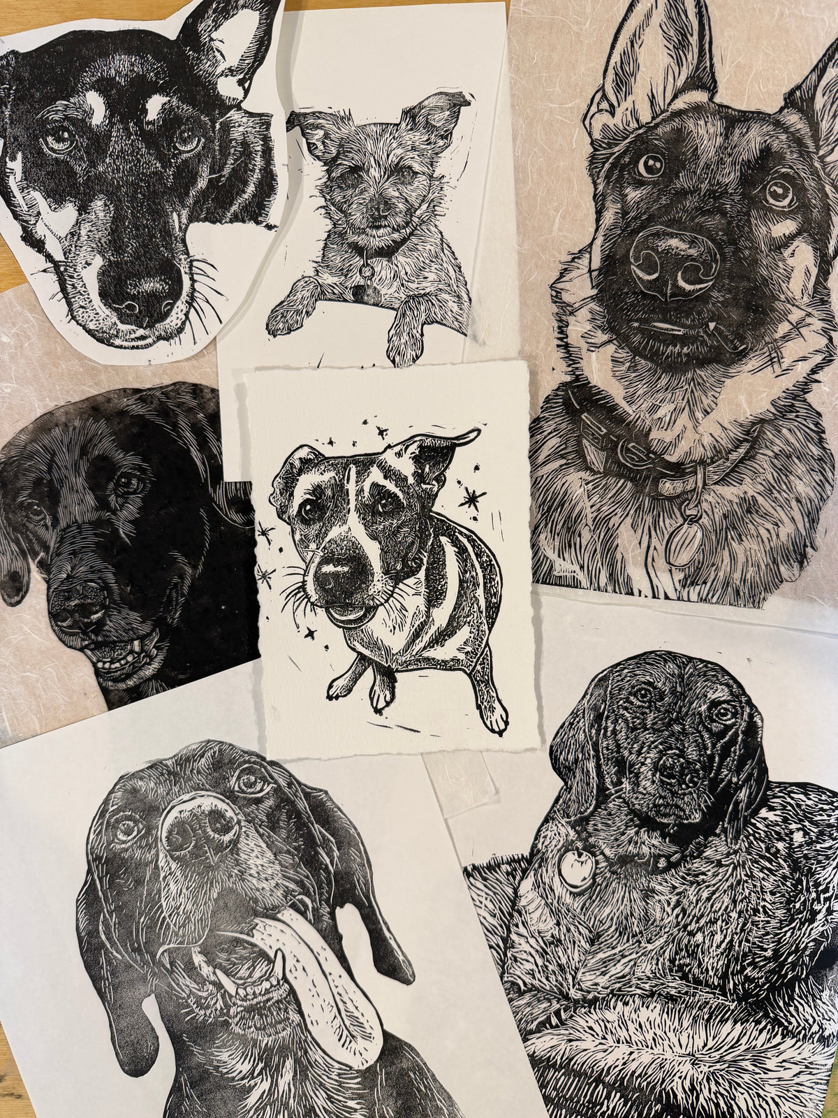 Pet Portraits
