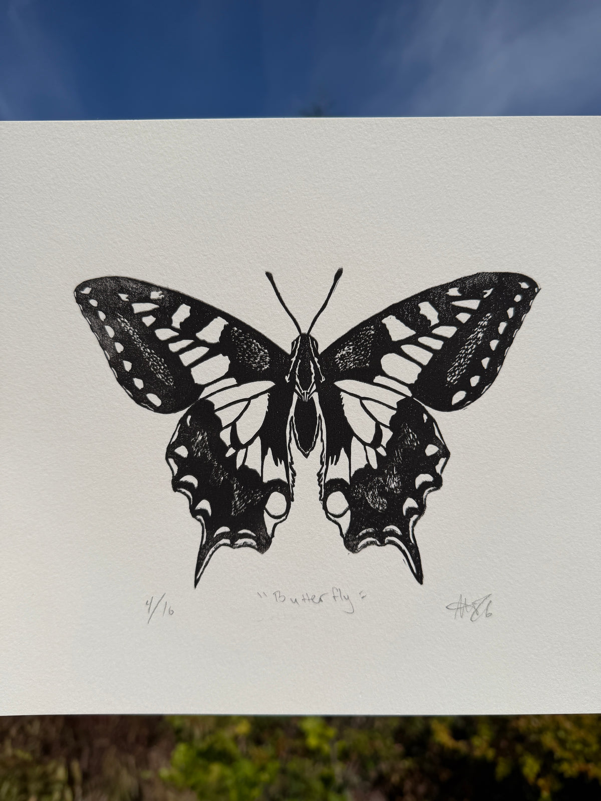 Butterfly, 9x12
