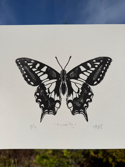 Butterfly, 9x12