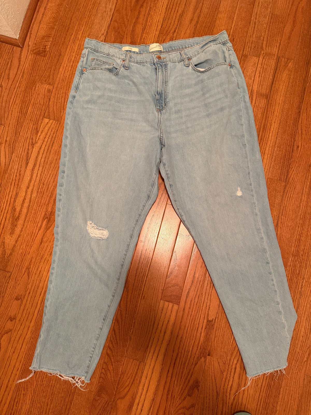 Snail/Centipede Sz 16 Jeans
