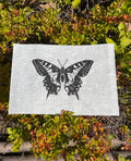 Butterfly, Mulberry Paper, 8x10