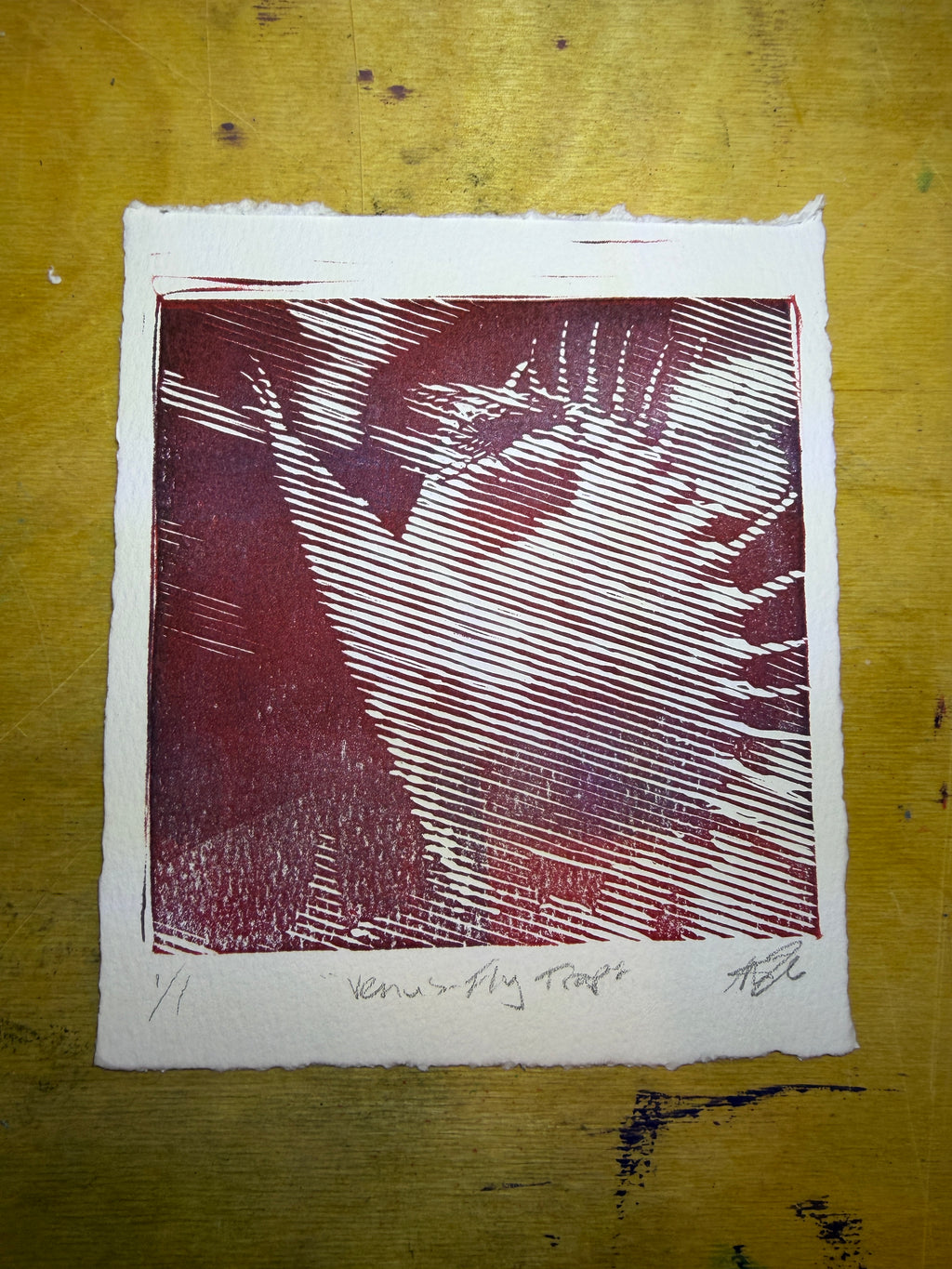 Red/blue venus fly trap print, 5x6
