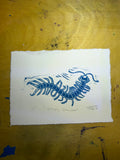 Blue centipede