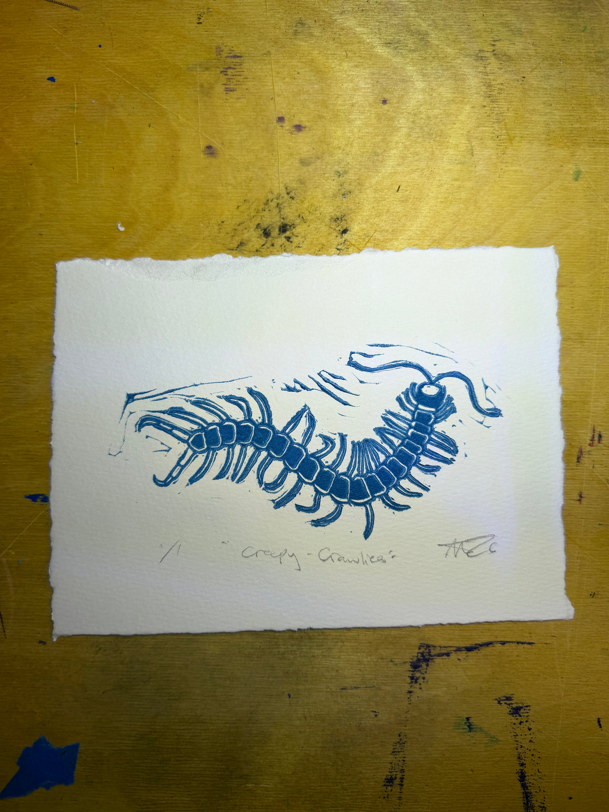 Blue centipede