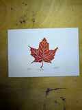 Maple leaf, 4x6