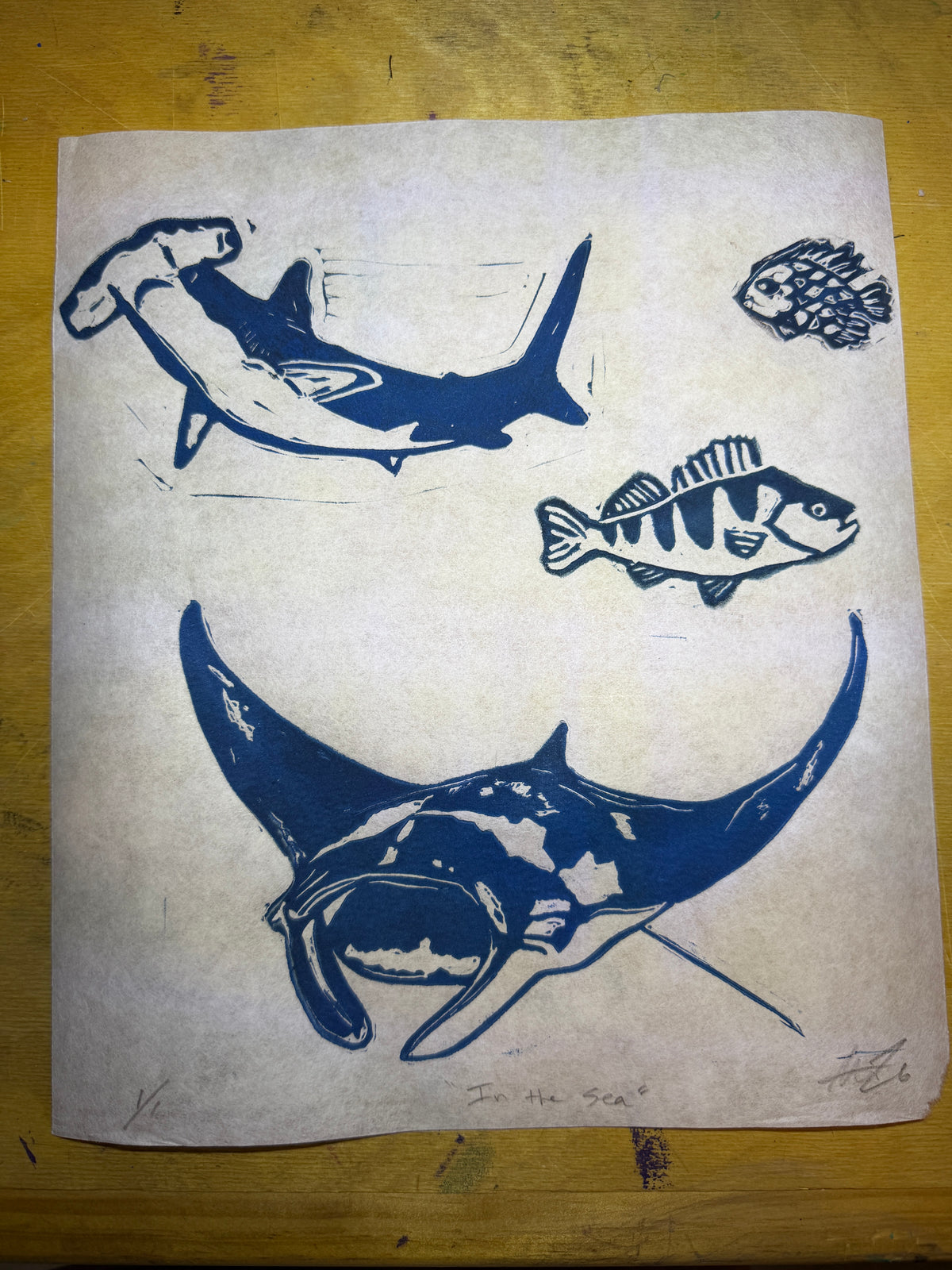 Sea creature collage, 9x11