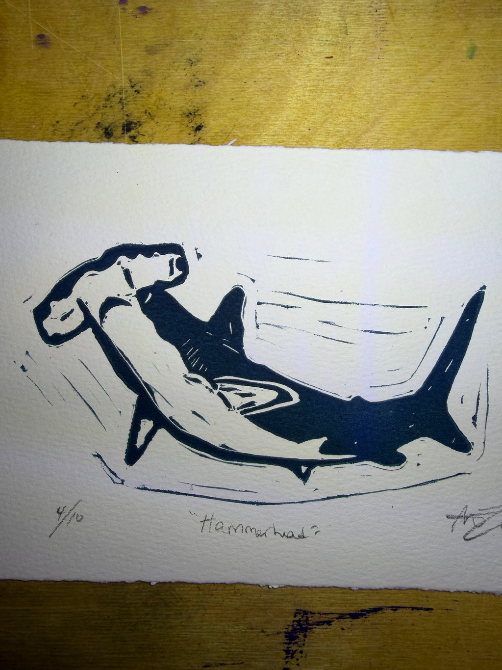 Hammerhead shark, 5x7