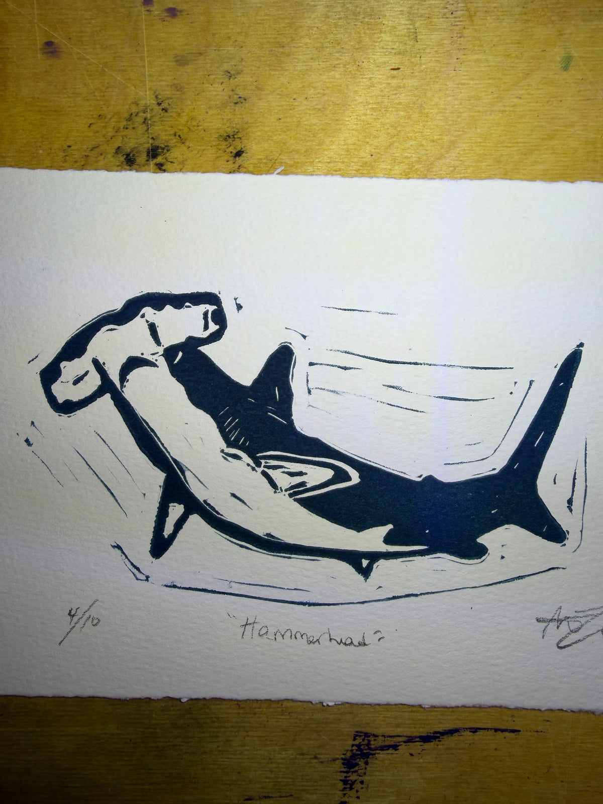 Hammerhead shark, 5x7