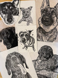 Custom Pet Portraits