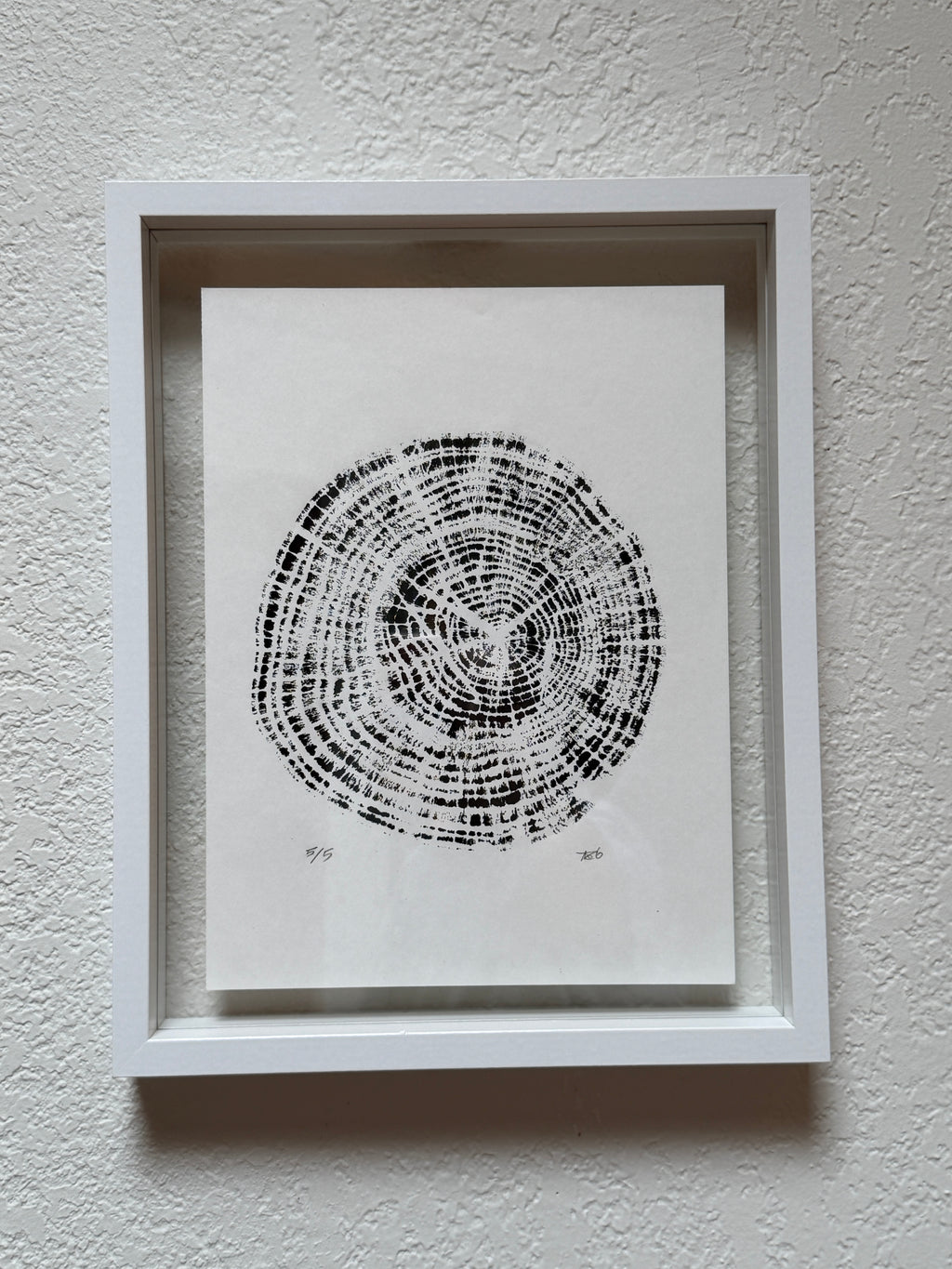 Framed 12x15 Tree Ring