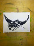 Manta ray