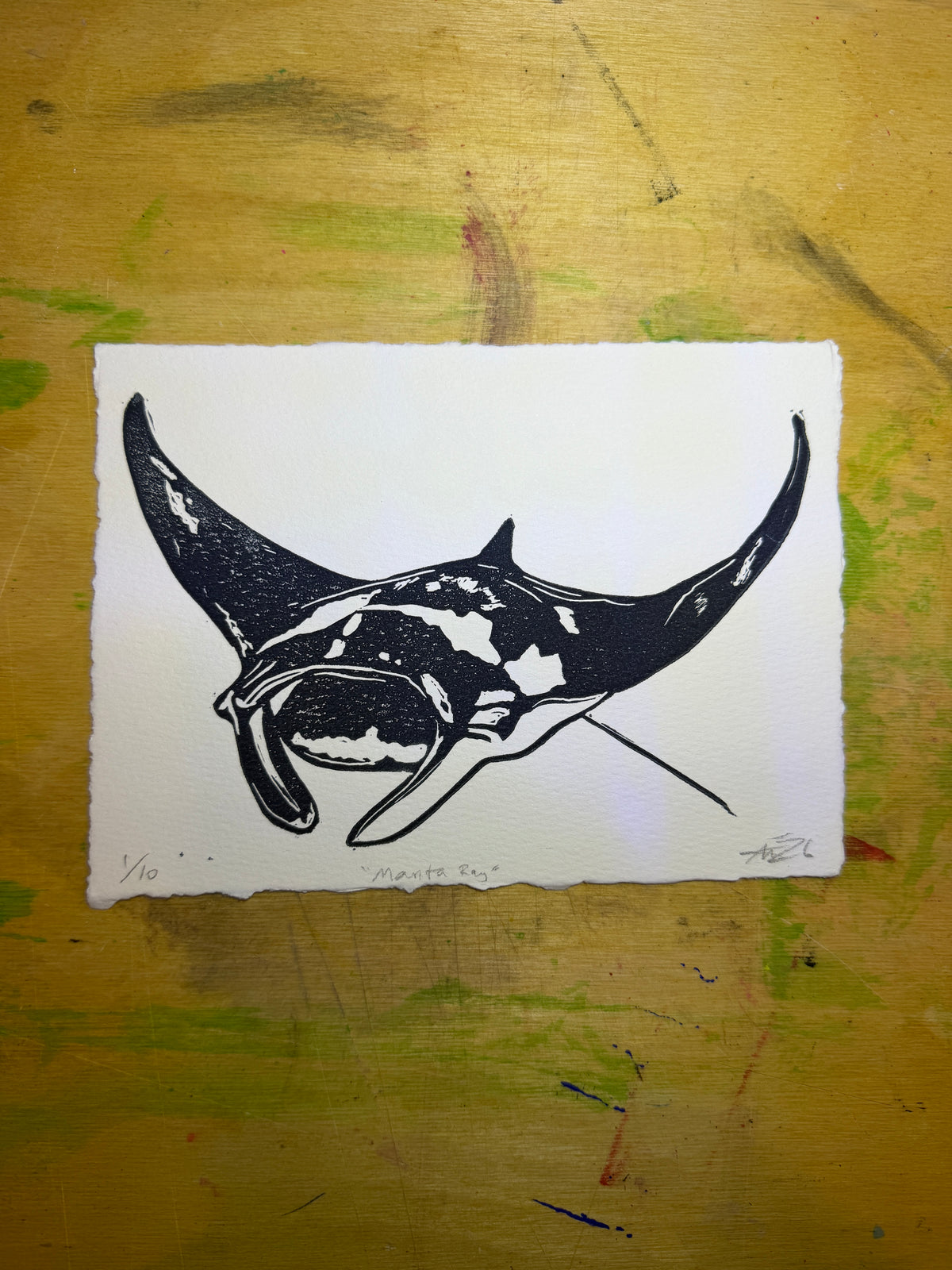 Manta ray