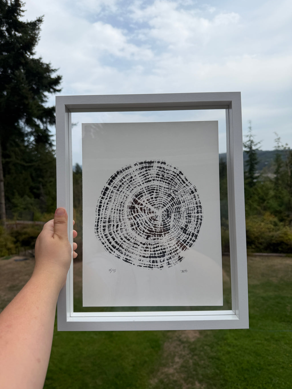 Framed 12x15 Tree Ring