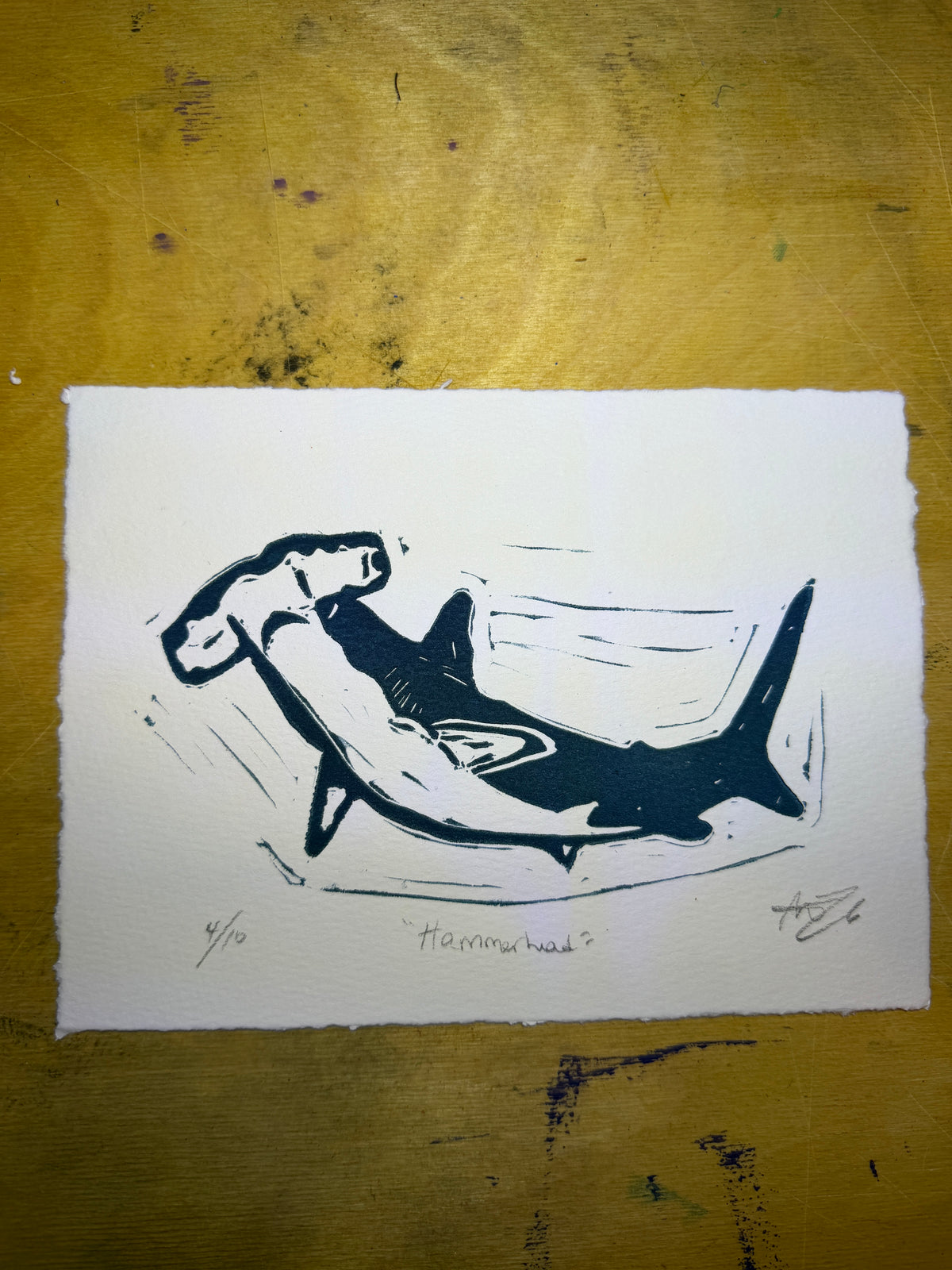 Hammerhead shark, 5x7