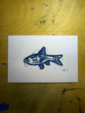 Funky fish