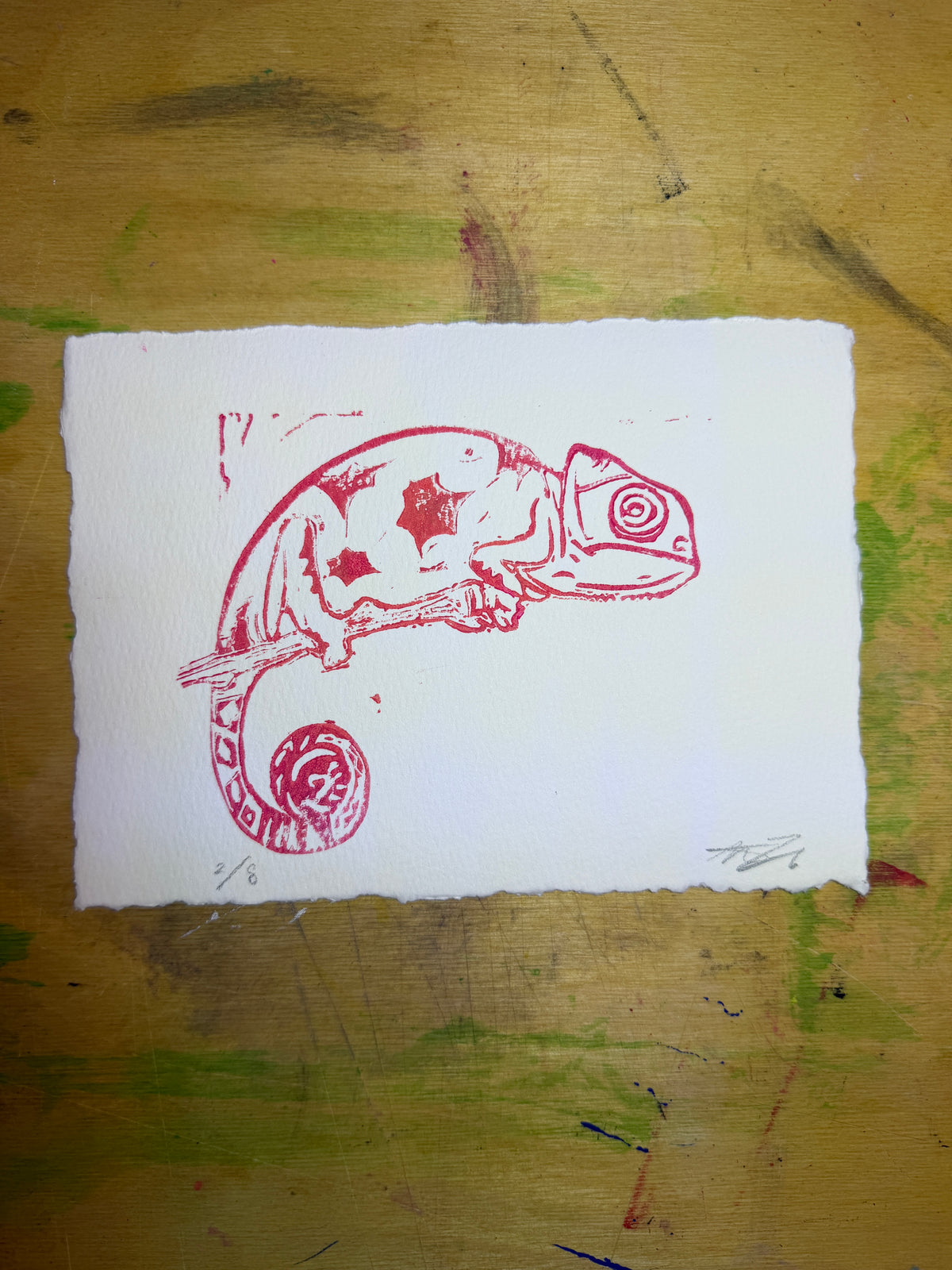 The Pink Chameleon