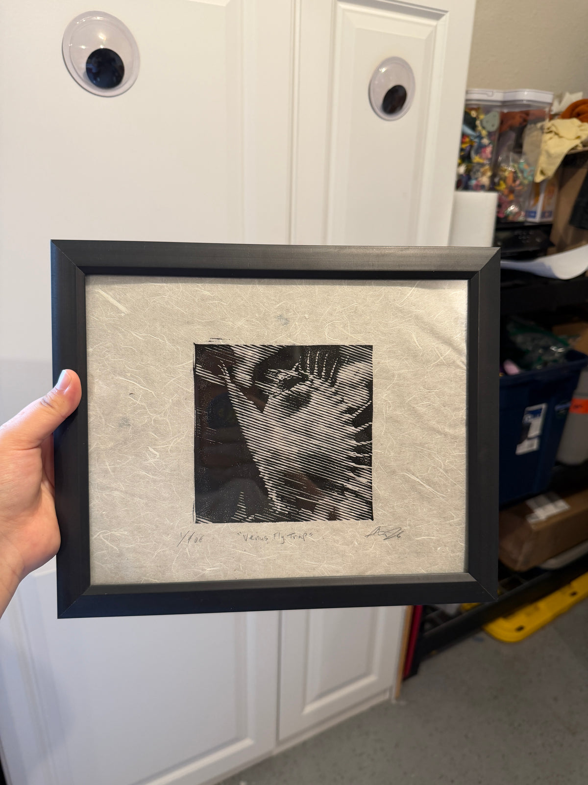 Framed venus fly trap, 9.5x11 framed