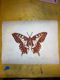 Red/Orange butterfly, 9x11