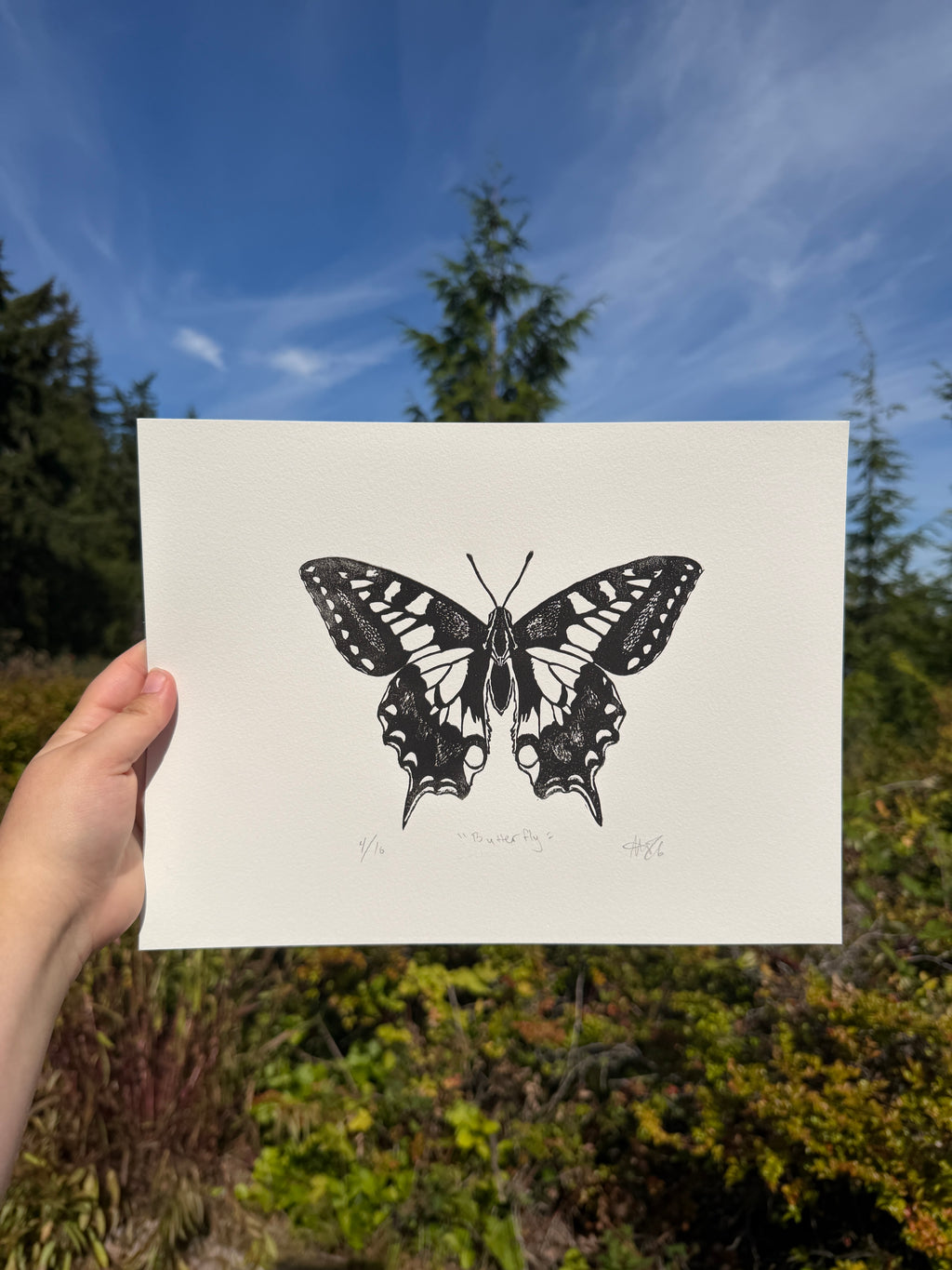 Butterfly, 9x12