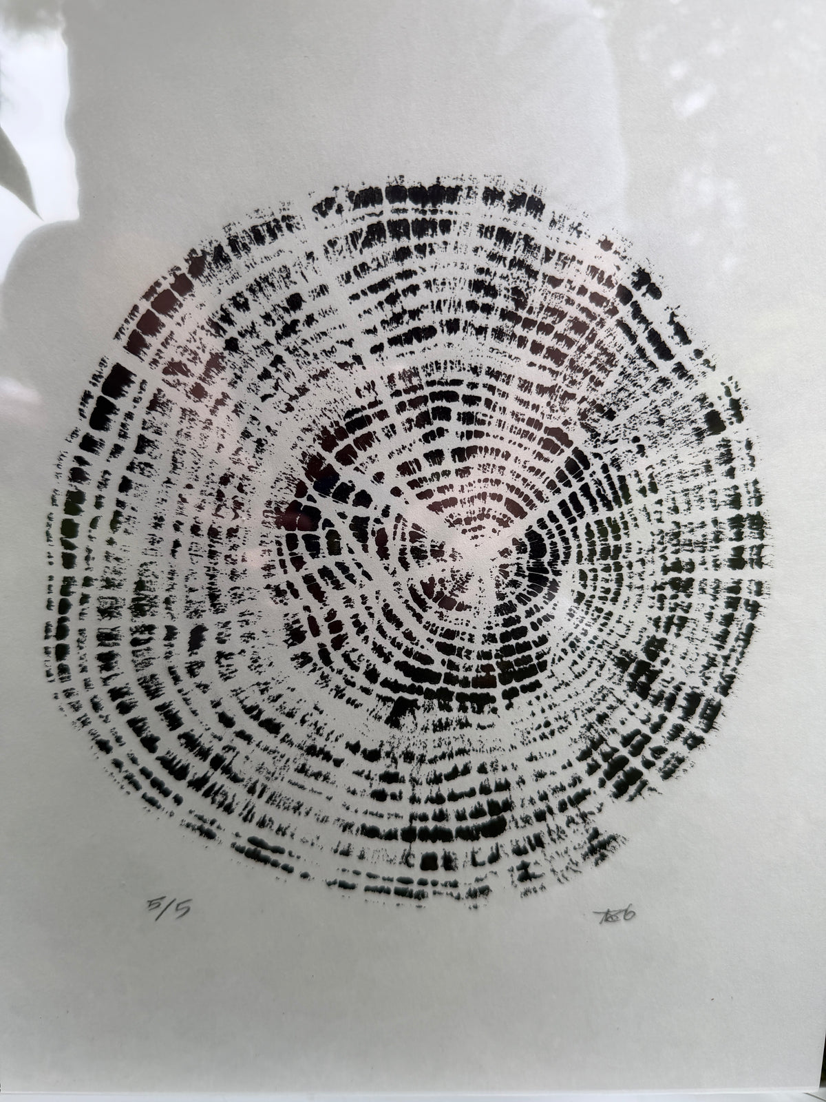 Framed 12x15 Tree Ring