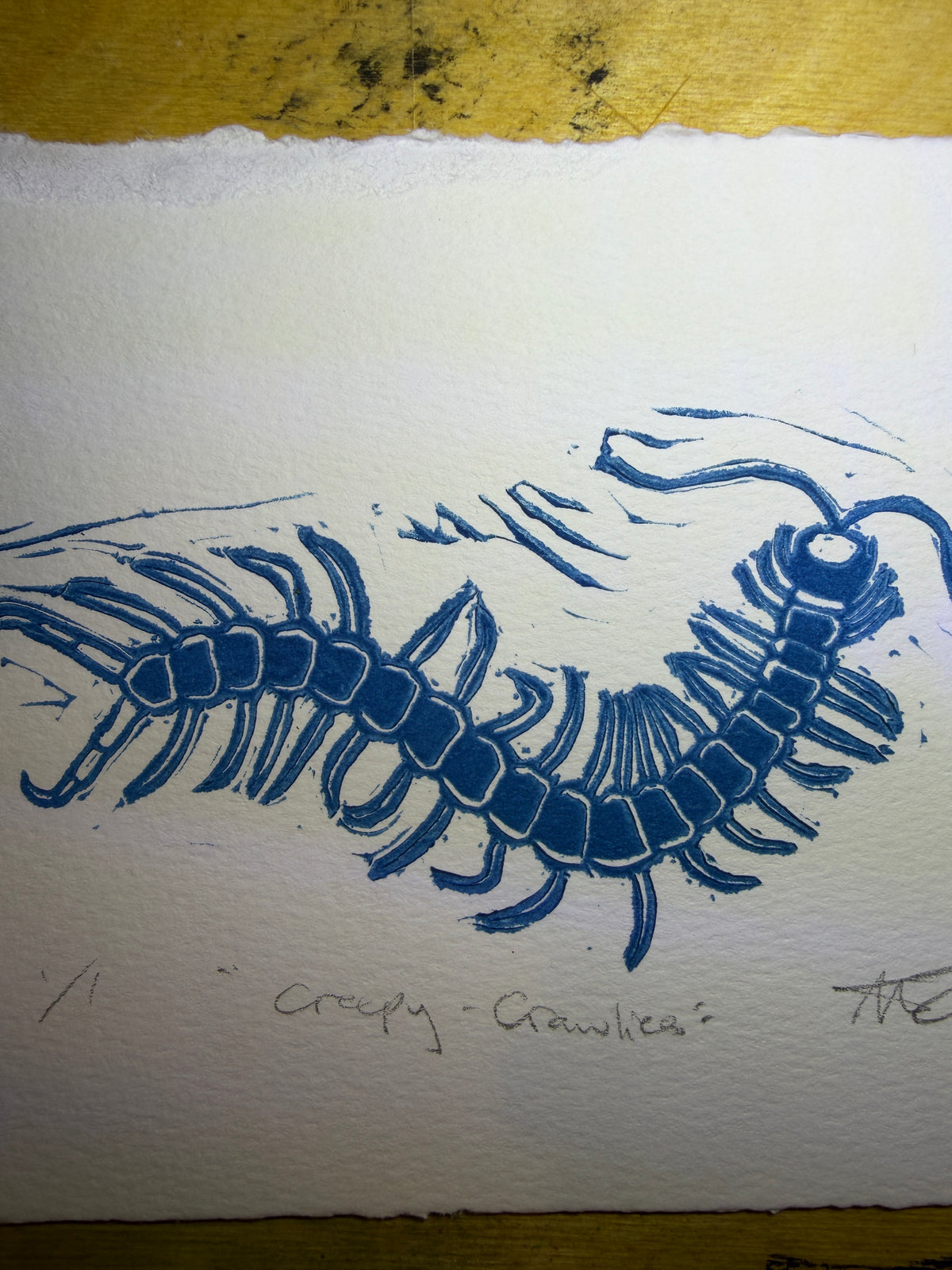 Blue centipede