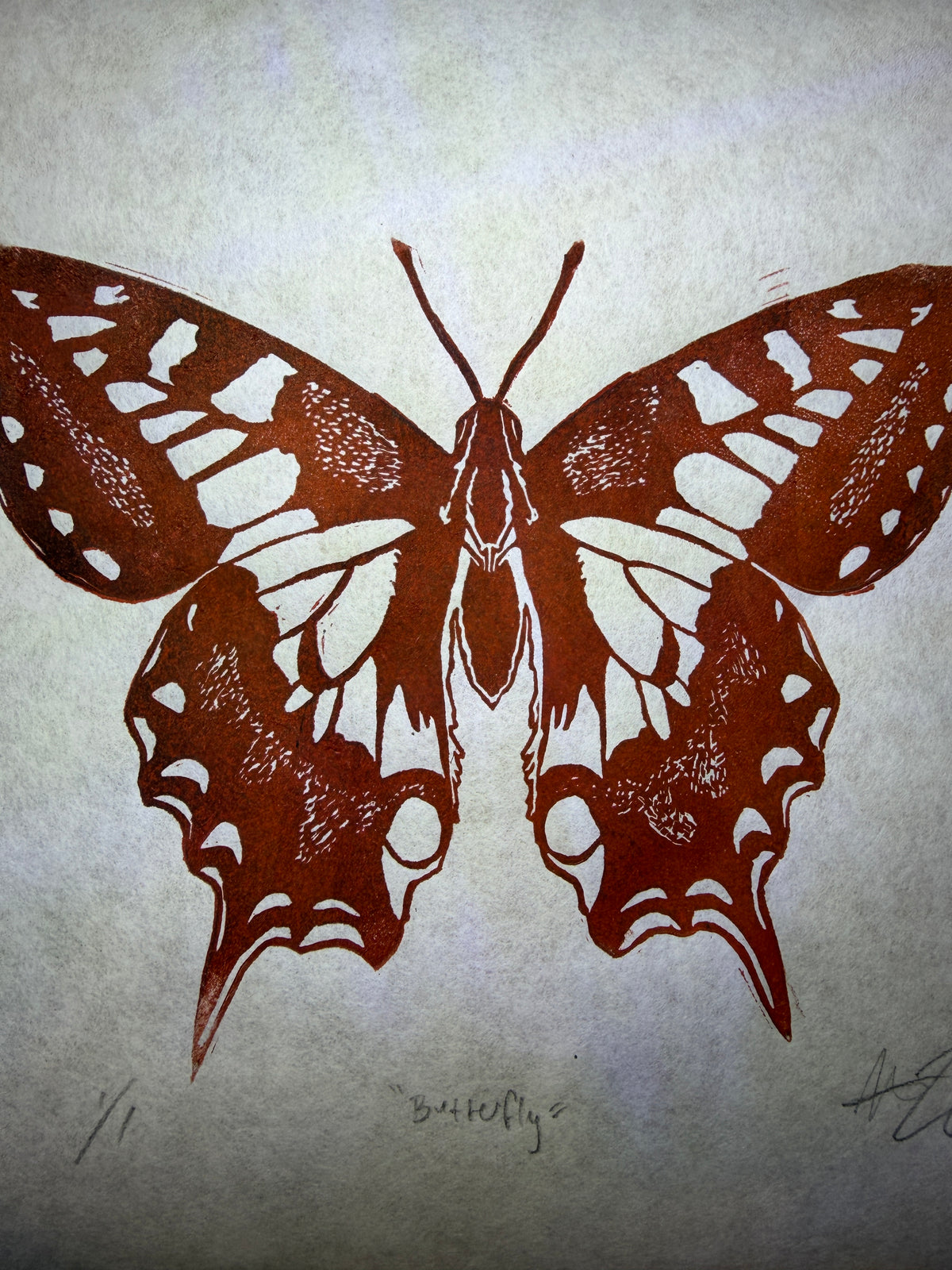 Red/Orange butterfly, 9x11
