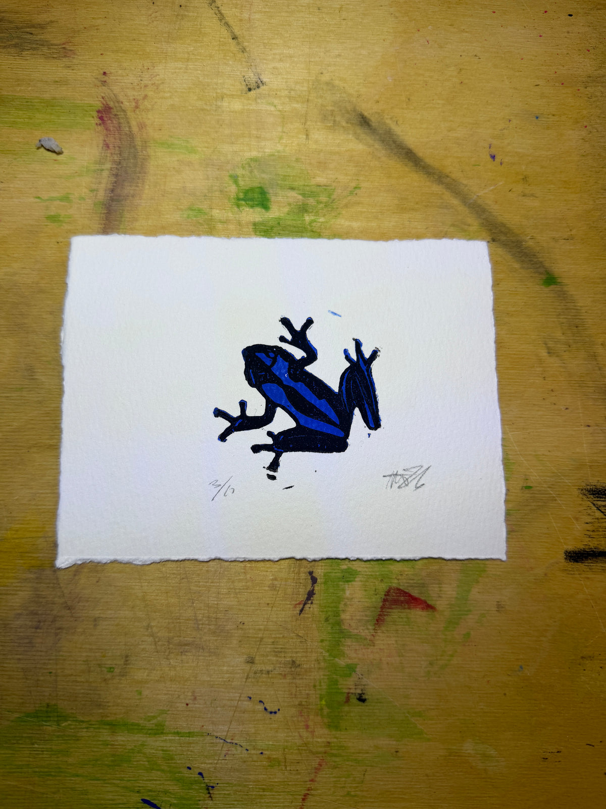 Poison dart frog