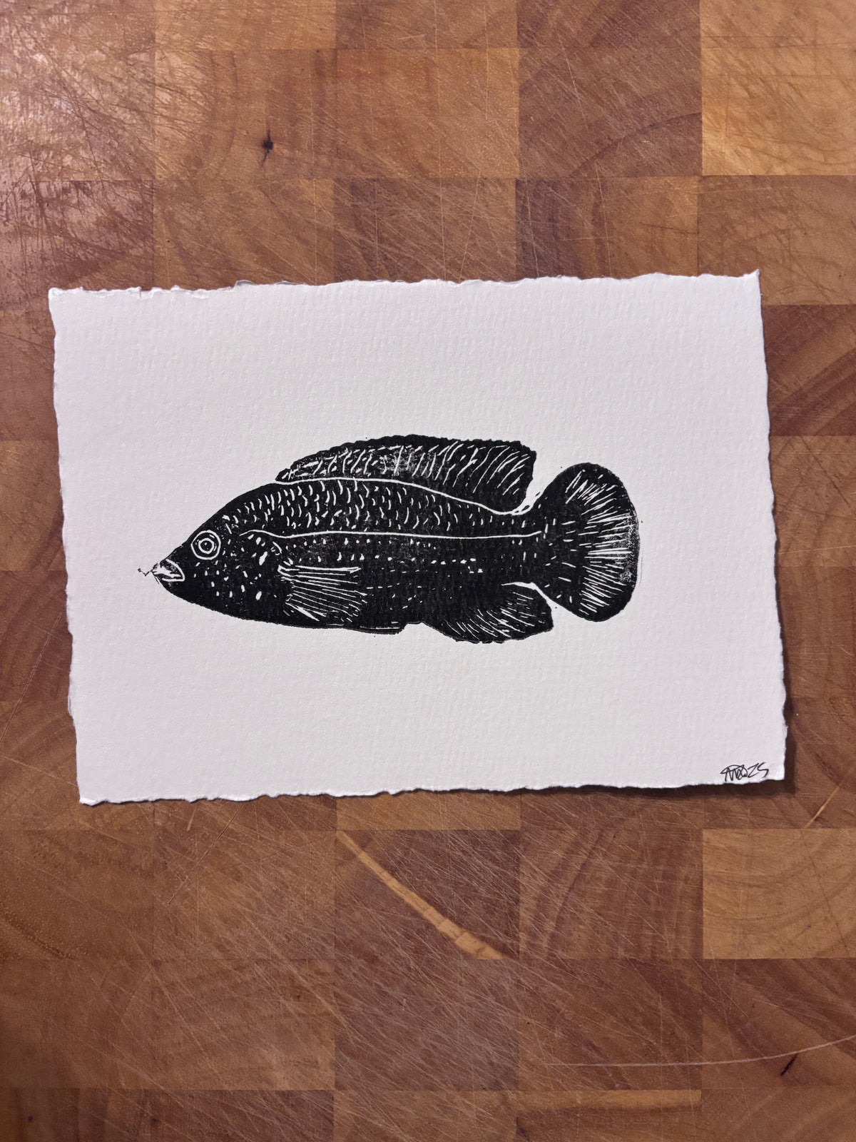 Fish