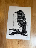 Bird on a Branch